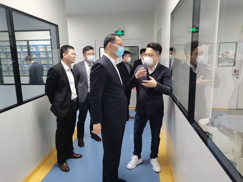 市领导调研重点商贸企业