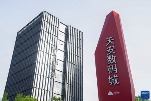 新华全媒 丨重庆 创新示范基地助大学生实现创业梦